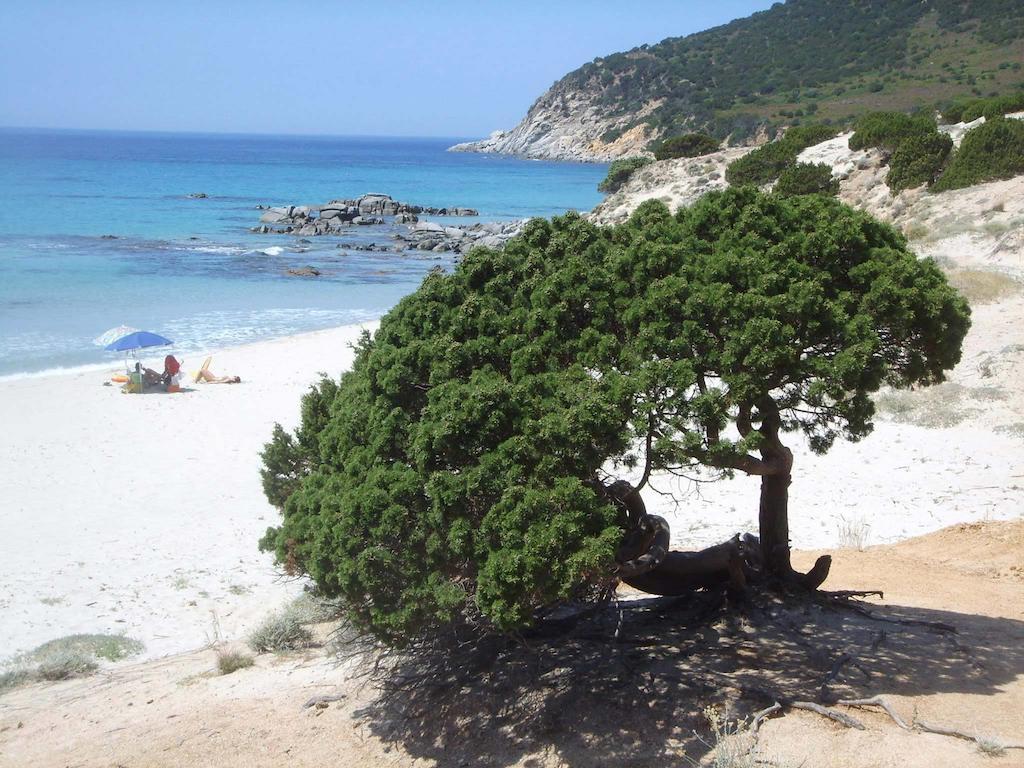 Holiday home Villetta Luisella